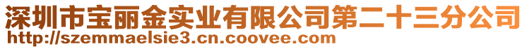 深圳市寶麗金實業(yè)有限公司第二十三分公司