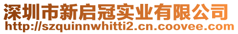 深圳市新啟冠實業(yè)有限公司