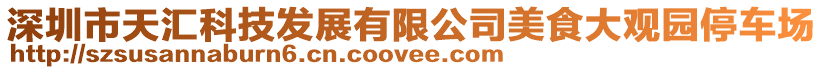 深圳市天匯科技發(fā)展有限公司美食大觀園停車場