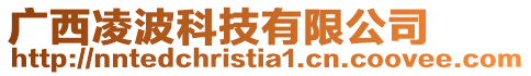 廣西凌波科技有限公司