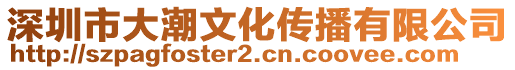 深圳市大潮文化傳播有限公司