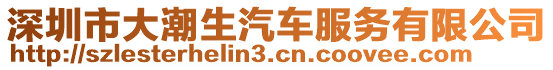 深圳市大潮生汽車服務(wù)有限公司