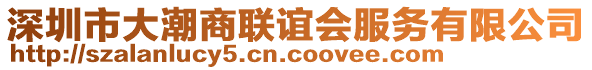 深圳市大潮商聯(lián)誼會服務(wù)有限公司