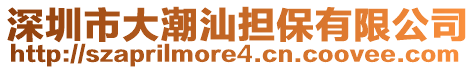 深圳市大潮汕擔保有限公司