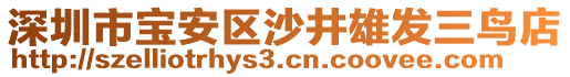 深圳市寶安區(qū)沙井雄發(fā)三鳥店