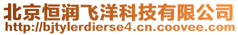 北京恒潤飛洋科技有限公司