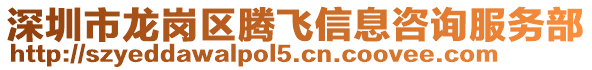深圳市龍崗區騰飛信息咨詢服務部