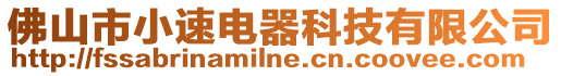 佛山市小速電器科技有限公司