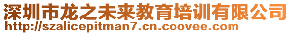 深圳市龍之未來教育培訓有限公司
