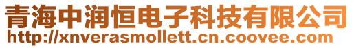 青海中潤恒電子科技有限公司