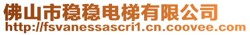 佛山市穩穩電梯有限公司