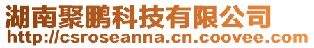 湖南聚鵬科技有限公司