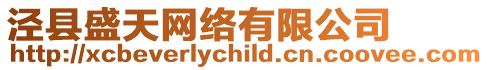 涇縣盛天網(wǎng)絡(luò)有限公司