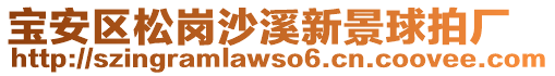寶安區松崗沙溪新景球拍廠