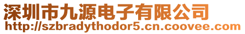 深圳市九源電子有限公司
