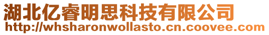 湖北億睿明思科技有限公司