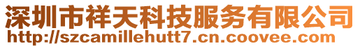 深圳市祥天科技服務有限公司