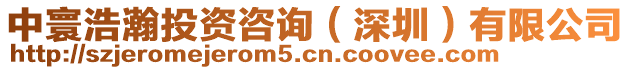 中寰浩瀚投資咨詢(深圳)有限公司