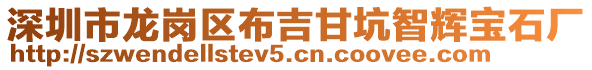 深圳市龍崗區(qū)布吉甘坑智輝寶石廠