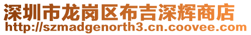 深圳市龍崗區(qū)布吉深輝商店