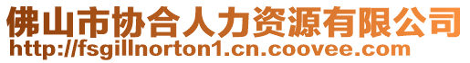 佛山市協合人力資源有限公司