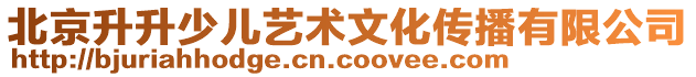 北京升升少兒藝術(shù)文化傳播有限公司
