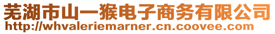 蕪湖市山一猴電子商務(wù)有限公司