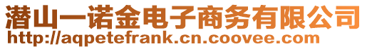 潛山一諾金電子商務有限公司