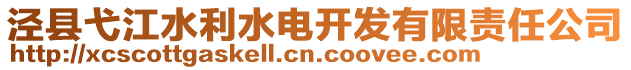 泾县弋江水利水电开发有限责任公司