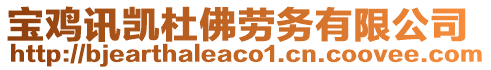 寶雞訊凱杜佛勞務(wù)有限公司