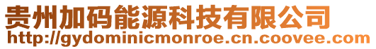 貴州加碼能源科技有限公司