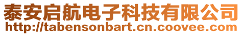 泰安啟航電子科技有限公司