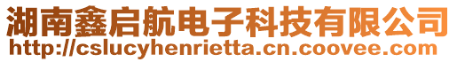 湖南鑫啟航電子科技有限公司