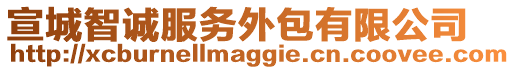 宣城智誠服務(wù)外包有限公司