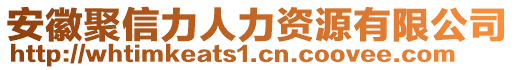 安徽聚信力人力資源有限公司