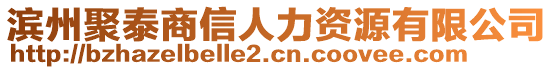 濱州聚泰商信人力資源有限公司