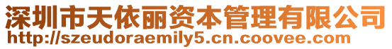 深圳市天依麗資本管理有限公司