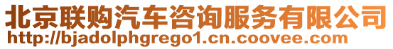 北京聯(lián)購(gòu)汽車(chē)咨詢(xún)服務(wù)有限公司