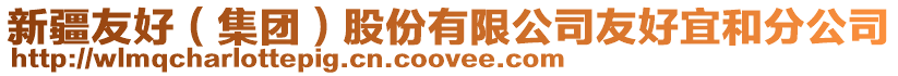 新疆友好(集團)股份有限公司友好宜和分公司