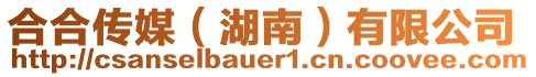合合傳媒(湖南)有限公司