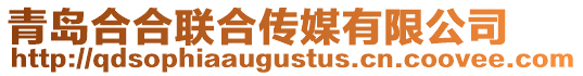 青島合合聯(lián)合傳媒有限公司