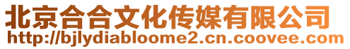 北京合合文化傳媒有限公司