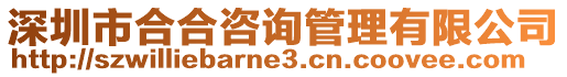 深圳市合合咨詢管理有限公司