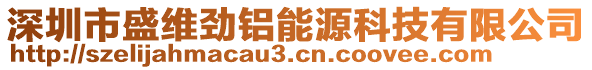 深圳市盛維勁鋁能源科技有限公司