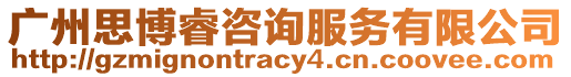 廣州思博睿咨詢服務有限公司