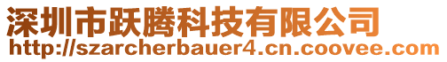 深圳市躍騰科技有限公司
