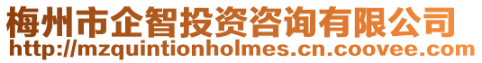 梅州市企智投資咨詢有限公司