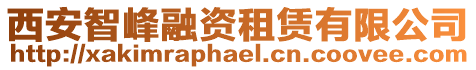 西安智峰融資租賃有限公司