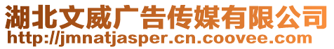 湖北文威廣告?zhèn)髅接邢薰? style=