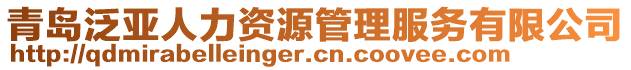青島泛亞人力資源管理服務有限公司